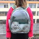 CatBackpack™ Sac à dos de Transport pour animaux de compagnie | Chat - La magie des chats